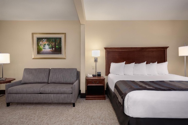 Wingate by Wyndham Columbia / Lexington image 6