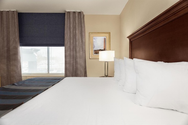 Wingate by Wyndham Columbia / Lexington image 7